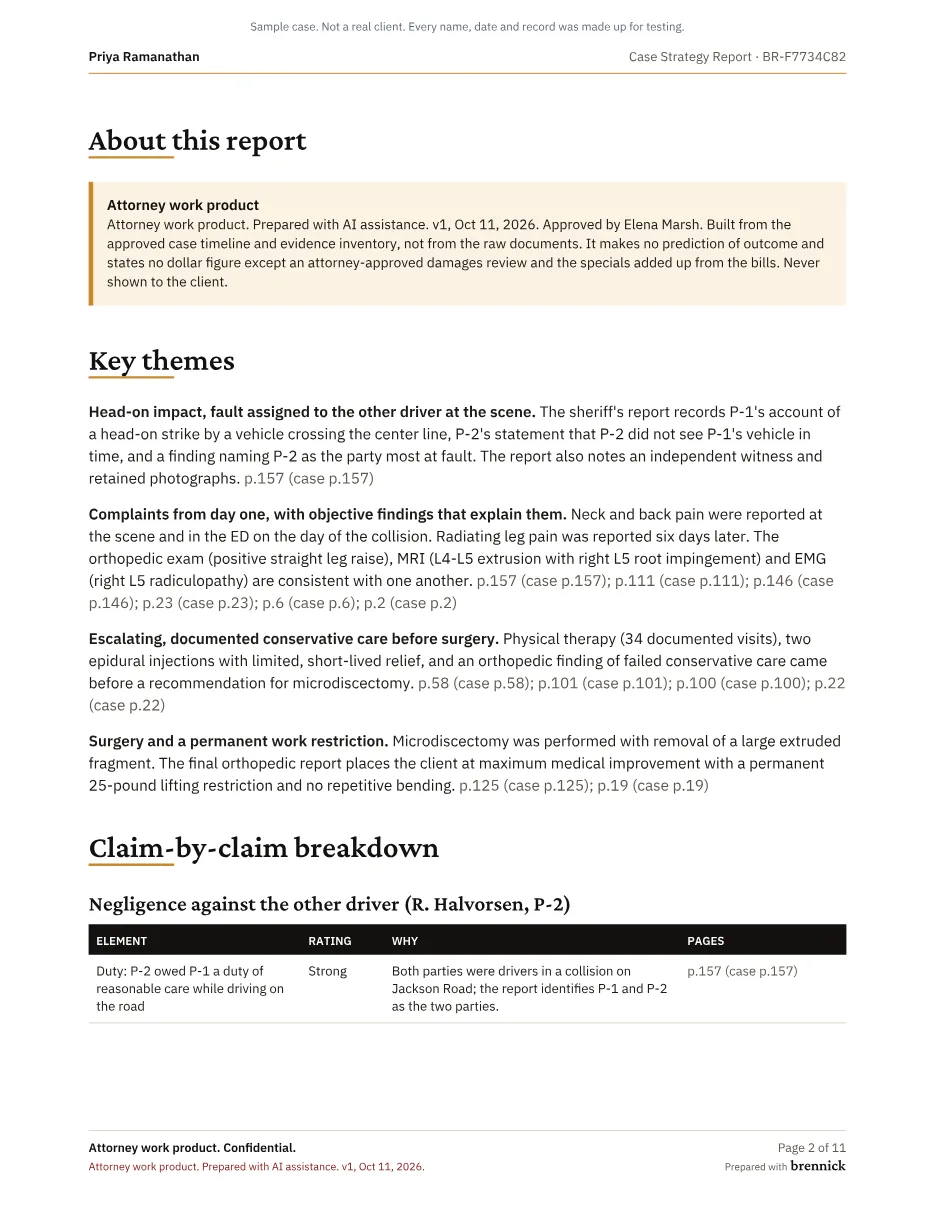 Sample case strategy report, Page 2 of 11